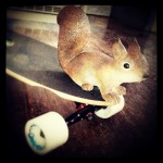 Sur le skate
